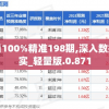 一码一肖100%精准198期,深入数据解释落实_轻量版.0.871