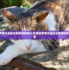 (七彩鱼的养殖方法和注意事项视频)七彩鱼的养殖方法与注意事项详解及常见问答