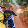 (萌宠大逃亡)萌宠大逃脱，动物世界的奇妙冒险之旅