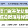 4949澳门彩开奖结果发现198期,综合数据解释落实_变动版.8.277