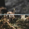 (天命起源下架了吗知乎)天命起源下架了吗，探究游戏命运与未来发展