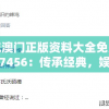 探寻独特魅力：无双萌将角色实力排行榜揭晓，解析各角色独特技能背后隐藏的强大实力