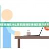 (载体软件服务商是什么意思)载体软件的发展与未来趋势分析