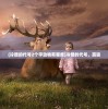 (哈乐有用吗)哈乐贴吧，一个充满活力的在线社区探讨与成长平台