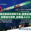 香港正版综合资料大全,探索生活中的智慧与灵感_影剧版.9.616