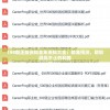 198期正版资料全年资料大全：精准预测，助您稳赢不止的利器