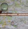 (月兔冒险是什么游戏)月兔冒险游戏，探索未知的奇幻世界