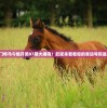 2024澳门特马今晚开奖07期大揭晓！赶紧来看看你的幸运号码是哪一个吧