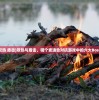(双热 盾击)双热与盾击，哪个更适合对抗游戏中的六大Boss？