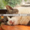 (猫旅馆物语食谱)猫旅馆物语，猫咪喂食指南