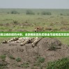 (怨宅第一关怎么过)宅怨游戏第一章通关攻略及常见问题解答
