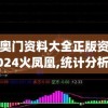 新奥门资料大全正版资料2024火凤凰,统计分析解释落实_公开款.4.635