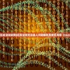 (巨龙法则官网)巨龙法则无法进入问题解析及常见问答（FAQ）