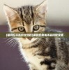 (猫狩纪平民职业选择)猫狩纪最强阵容搭配攻略