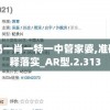 澳门一码一肖一特一中管家婆,准确资料解释落实_AR型.2.313