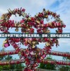 (少年君王传手游下载)少年君王传游戏，策略、冒险与成长的王者之旅