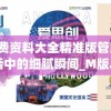 新澳免费资料大全精准版管家婆,探索生活中的细腻瞬间_M版.1.381