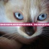 (猫旅馆物语攻略挣钱)猫旅馆物语内置作弊菜单，游戏攻略与常见问题解答