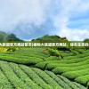 (植物大联盟官方网站首页)植物大联盟官方网站，绿色生态的集结地