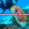 (大圣传 说梦者)关于大圣传说梦者更新暂停的原因探究