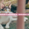 (萌宠封神攻略大全)萌宠封神攻略大全，成为顶尖宠物主人的秘诀