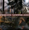 (飞仙问道唯美修仙动作手游)飞仙问道漫画下拉式，探索奇幻世界的奥秘与魅力