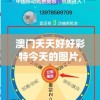 澳门天天好好彩特今天的图片,新趋势下的投资攻略与机遇_标准版BT.4.925