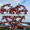 (祖玛豪华版手机游戏)祖玛豪华版，经典游戏的全新演绎
