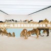 2024澳门天天彩期期：精准管家婆带你掌握诀窍，轻松赢取大奖！