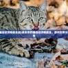 (重构阿塔提斯激活码怎么获得)重构阿塔提斯激活码，解锁新体验的关键步骤