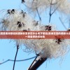 (王者射击奥特之王怎么获得)王者射击，奥特之王的荣耀征途