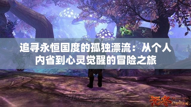 追寻永恒国度的孤独漂流：从个人内省到心灵觉醒的冒险之旅