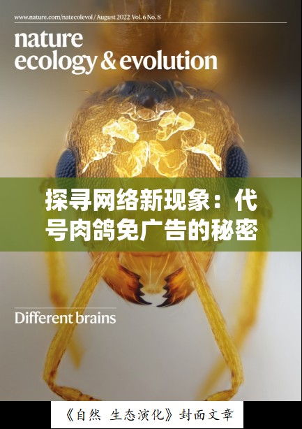 探寻网络新现象：代号肉鸽免广告的秘密，如何挑战传统广告模式？