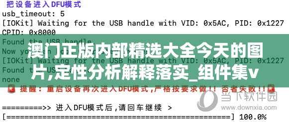 澳门正版内部精选大全今天的图片,定性分析解释落实_组件集v.8.535