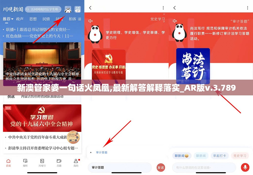 新澳管家婆一句话火凤凰,最新解答解释落实_AR版v.3.789