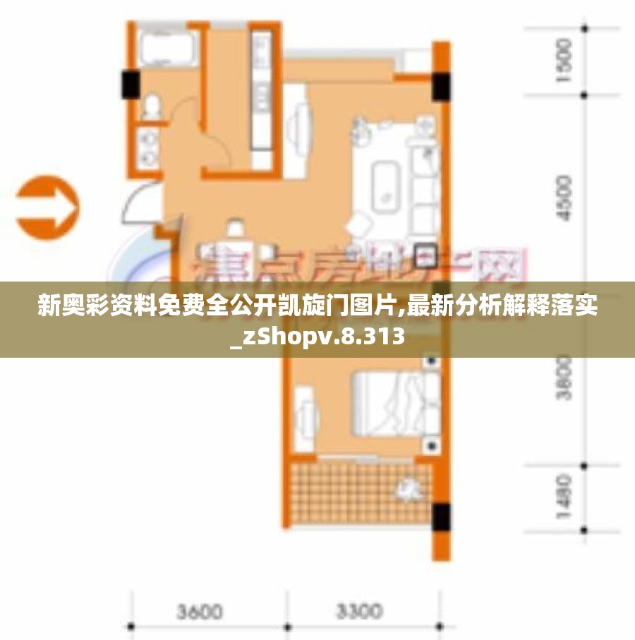 新奥彩资料免费全公开凯旋门图片,最新分析解释落实_zShopv.8.313
