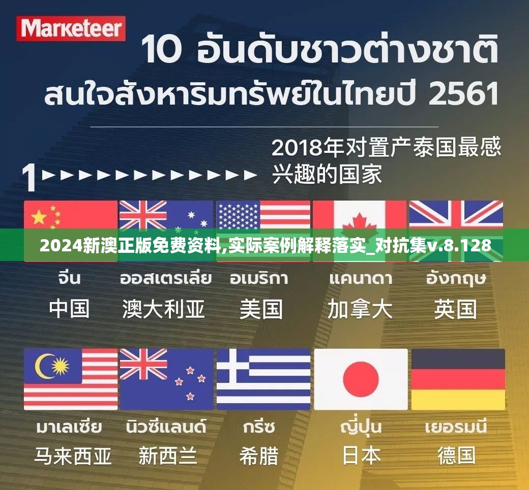 2024新澳正版免费资料,实际案例解释落实_对抗集v.8.128
