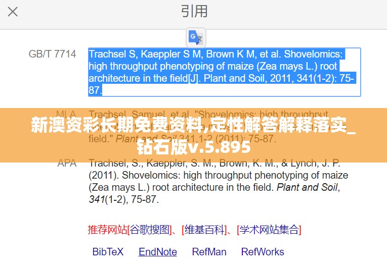 新澳资彩长期免费资料,定性解答解释落实_钻石版v.5.895