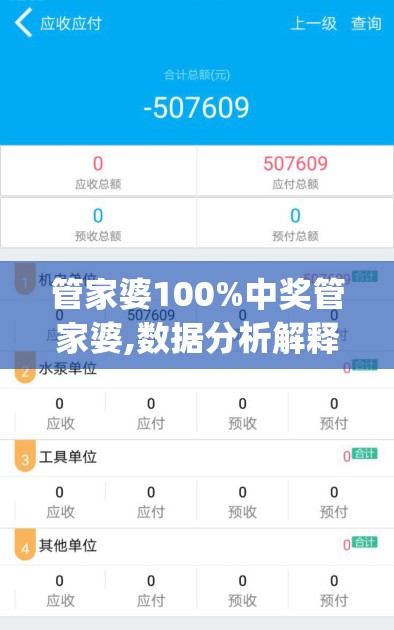 管家婆100%中奖管家婆,数据分析解释落实_XE版v.2.41