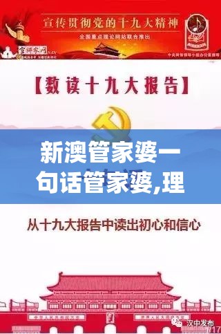 新澳管家婆一句话管家婆,理论依据解释落实_机动集v.1.8