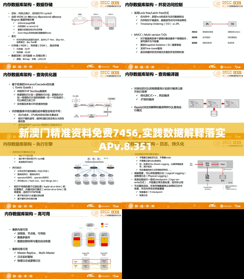 新澳门精准资料免费7456,实践数据解释落实_APv.8.351