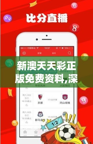 新澳天天彩正版免费资料,深入理解各种问题的解决方案_经典版WSAPv.3.204