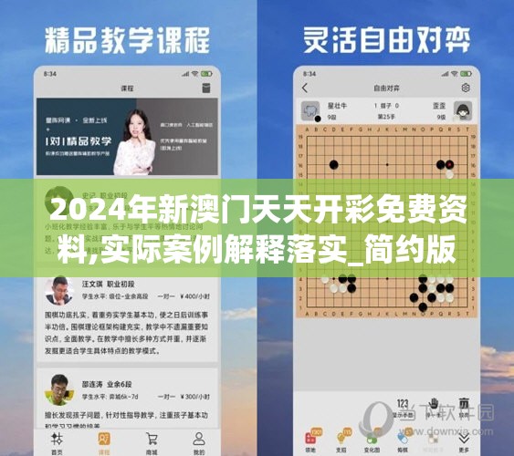 2024年新澳门天天开彩免费资料,实际案例解释落实_简约版v.9.8