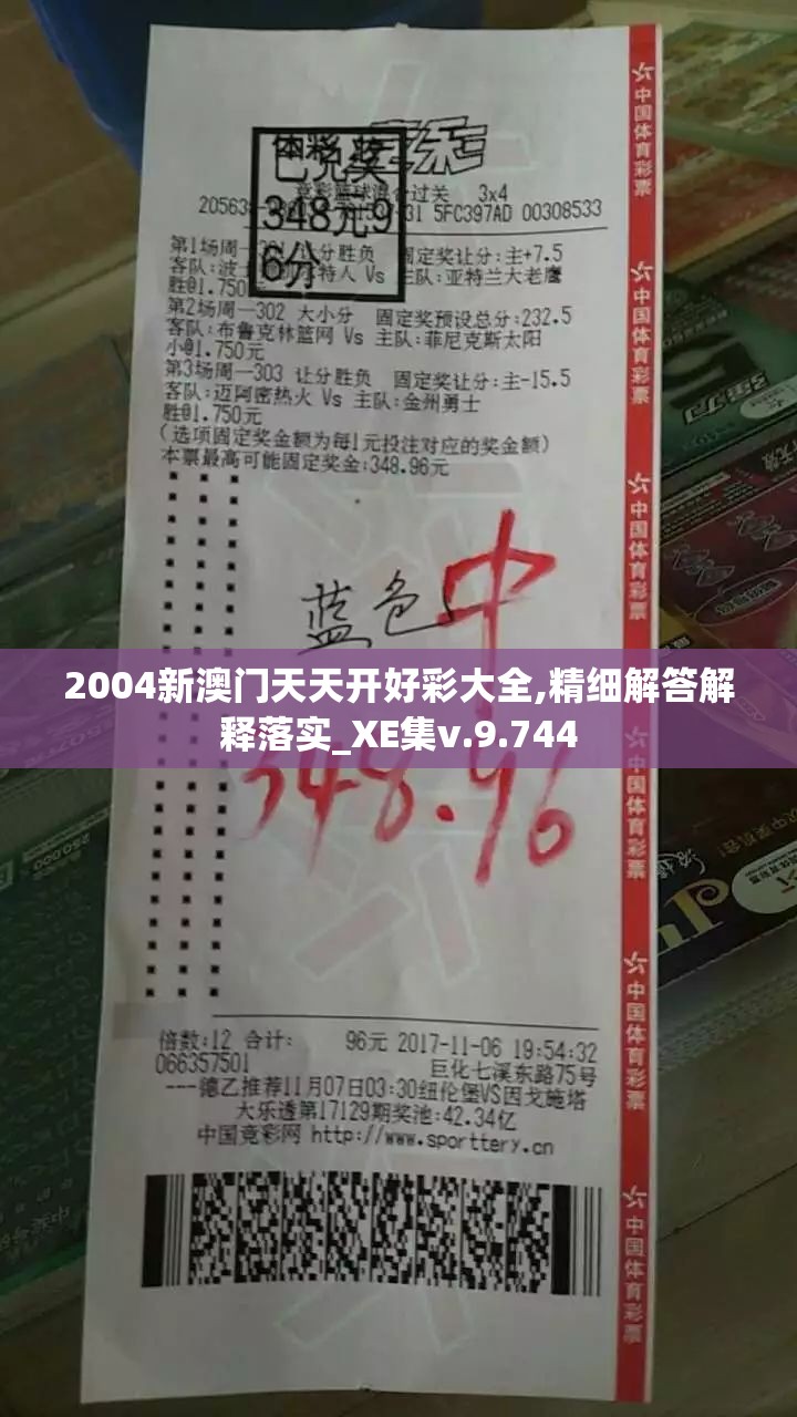 2004新澳门天天开好彩大全,精细解答解释落实_XE集v.9.744