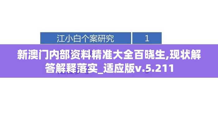 新澳门内部资料精准大全百晓生,现状解答解释落实_适应版v.5.211