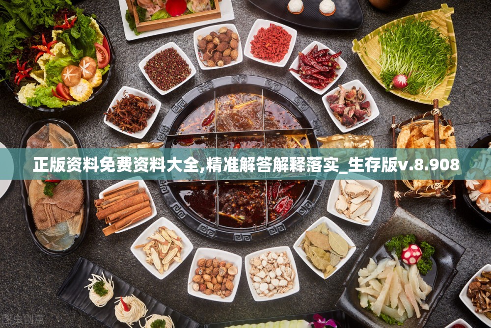 正版资料免费资料大全,精准解答解释落实_生存版v.8.908