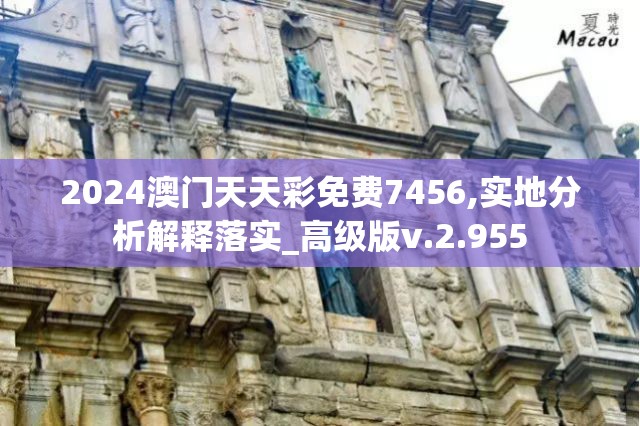 2024澳门天天彩免费7456,实地分析解释落实_高级版v.2.955