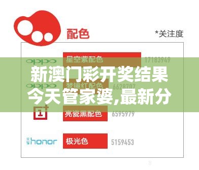 新澳门彩开奖结果今天管家婆,最新分析解释落实_创新版v.4.354