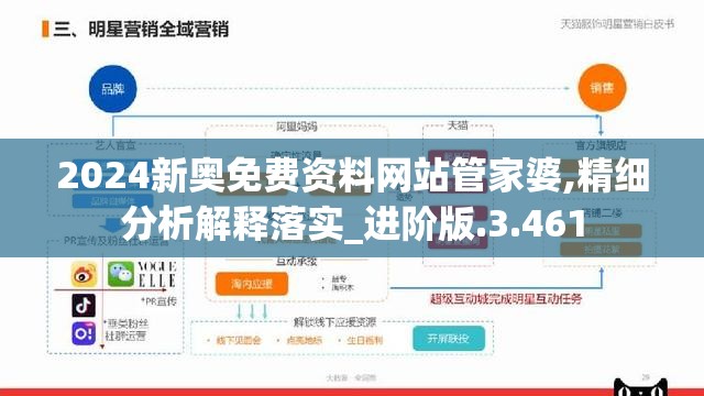 2024新奥免费资料网站管家婆,精细分析解释落实_进阶版.3.461