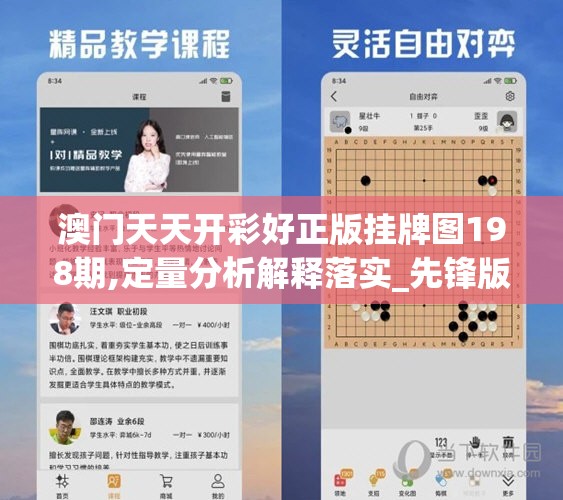 澳门天天开彩好正版挂牌图198期,定量分析解释落实_先锋版IOS.0.729